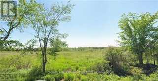 N/A DEEKS ROAD | Wainfleet Ontario | Slide Image Five