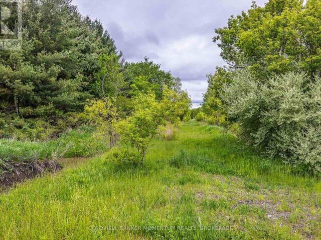 1969 HUTCHINSON ROAD Dunnville Ontario, N1A 2W2 - Vacant Land For Sale