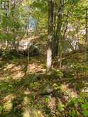 1248 BEIERS ROAD | Gravenhurst Ontario | Slide Image Nine