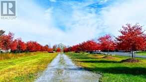 V/L ROSEHILL ROAD | Fort Erie Ontario | Slide Image Two