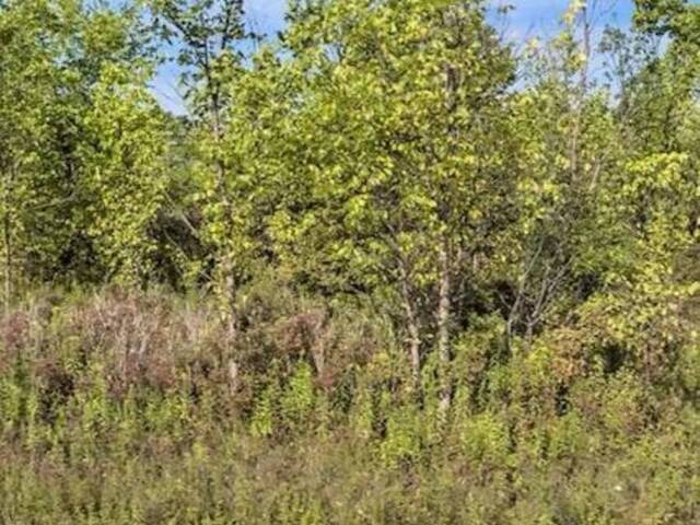 LOT 6 MONTROSE ROAD Niagara Falls Ontario, L3B 5N7 - Vacant Land For Sale