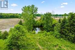 53825 ZION ROAD | Wainfleet Ontario | Slide Image Nine