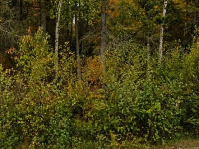 NONE SWEEZEY STREET Powassan Ontario, P0H 2L0 - Vacant Land For Sale