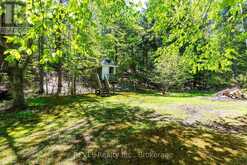 14-M72 GRANDVIEW ISLAND | Gravenhurst Ontario | Slide Image Twenty-seven