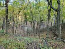 154&155 LOT | Thorold Ontario | Slide Image Four