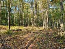 154&155 LOT | Thorold Ontario | Slide Image Seven