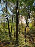 154&155 LOT | Thorold Ontario | Slide Image Eight