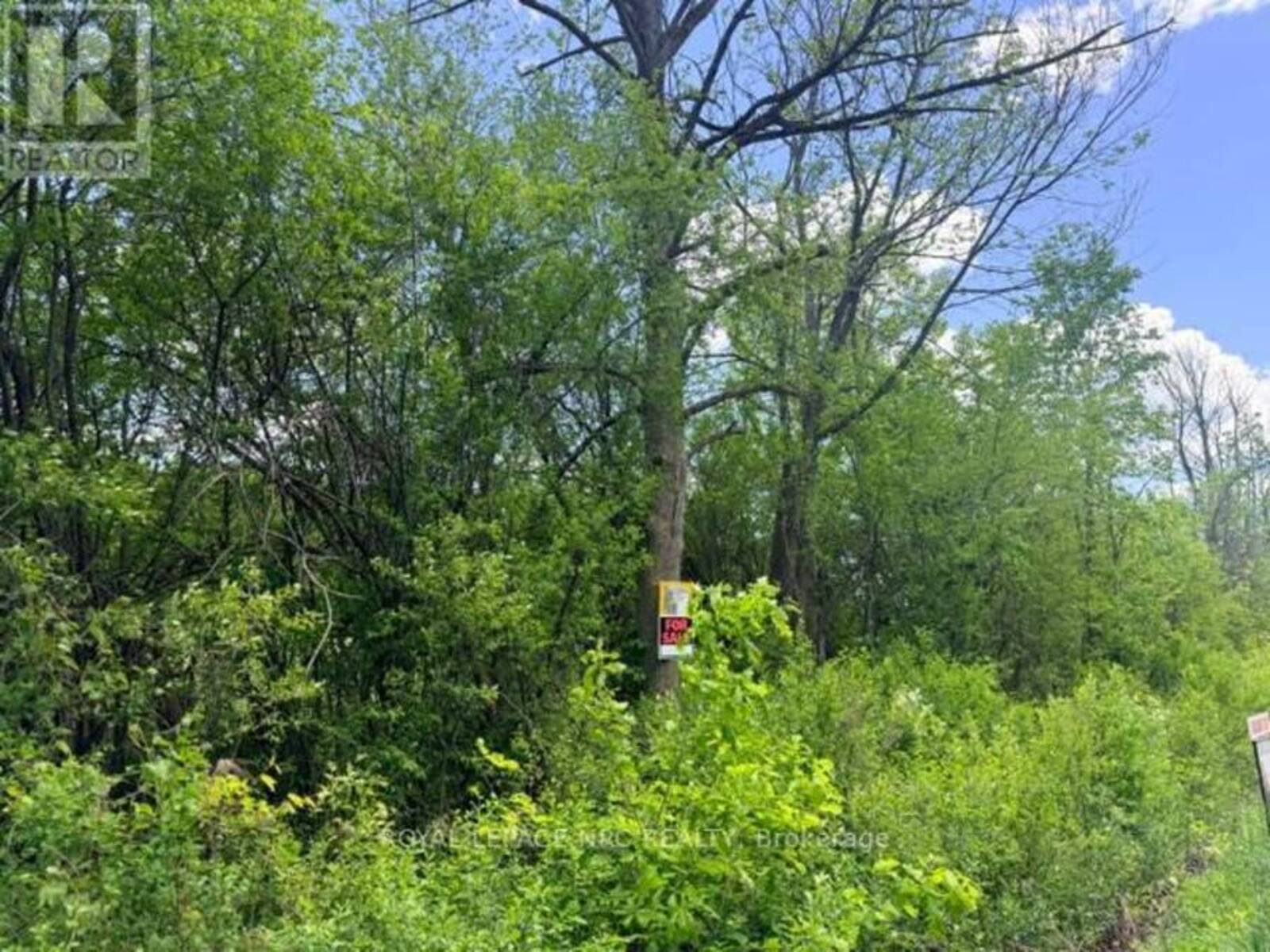 V/L CENTRALIA AVENUE N, Fort Erie, Ontario L0S 1N0