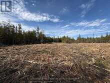 25 SIMPSON LOT 2 AVENUE | Tobermory Ontario | Slide Image Six