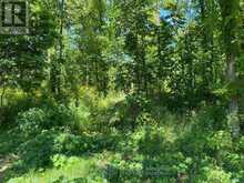 PT LT 3 EFFINGHAM STREET | Pelham Ontario | Slide Image Nine
