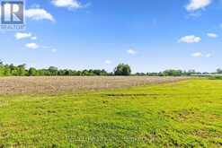 43758 HIGHWAY #3 (FORKS RD) HIGHWAY | Wainfleet Ontario | Slide Image Twenty-six