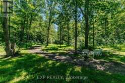 50849 O'REILLY'S ROAD S | Wainfleet Ontario | Slide Image Forty-five