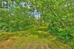VL RIVER TRAIL | Fort Erie Ontario | Slide Image Eight