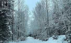 131 HIGHWAY 575 ROAD | West Nipissing Ontario | Slide Image Eighteen