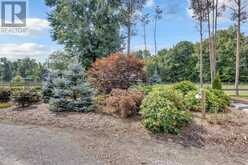 1684 4TH CONCESSION ROAD | St. Williams Ontario | Slide Image Three