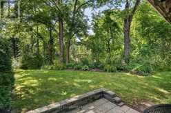 3 BLACK WALNUT COMMON | St. Catharines Ontario | Slide Image Thirty-four