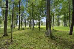 1247 CHIPPAWA CREEK ROAD | Thorold Ontario | Slide Image Thirty-five