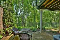 14 TULIP TREE COMMON | St. Catharines Ontario | Slide Image Thirty-six