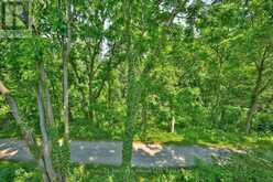 14 TULIP TREE COMMON | St. Catharines Ontario | Slide Image Thirty-nine