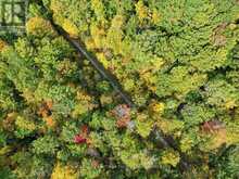 PART LOT 19, CONCESSION 1 STATION ROAD | Wainfleet Ontario | Slide Image Five