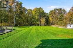 51268 TUNNACLIFFE ROAD S | Wainfleet Ontario | Slide Image Forty-two