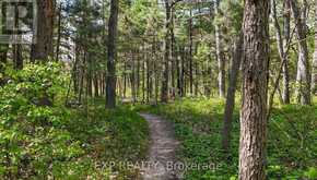 9928 ERIC STREET | Lambton Shores Ontario | Slide Image Nine