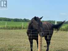 21298 SPRINGFIELD ROAD | Strathroy-Caradoc Ontario | Slide Image Thirty-seven