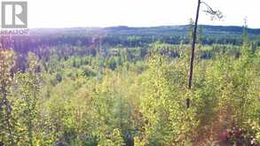 LOT 5 CON 1 ROAD | Timiskaming Ontario | Slide Image Eight