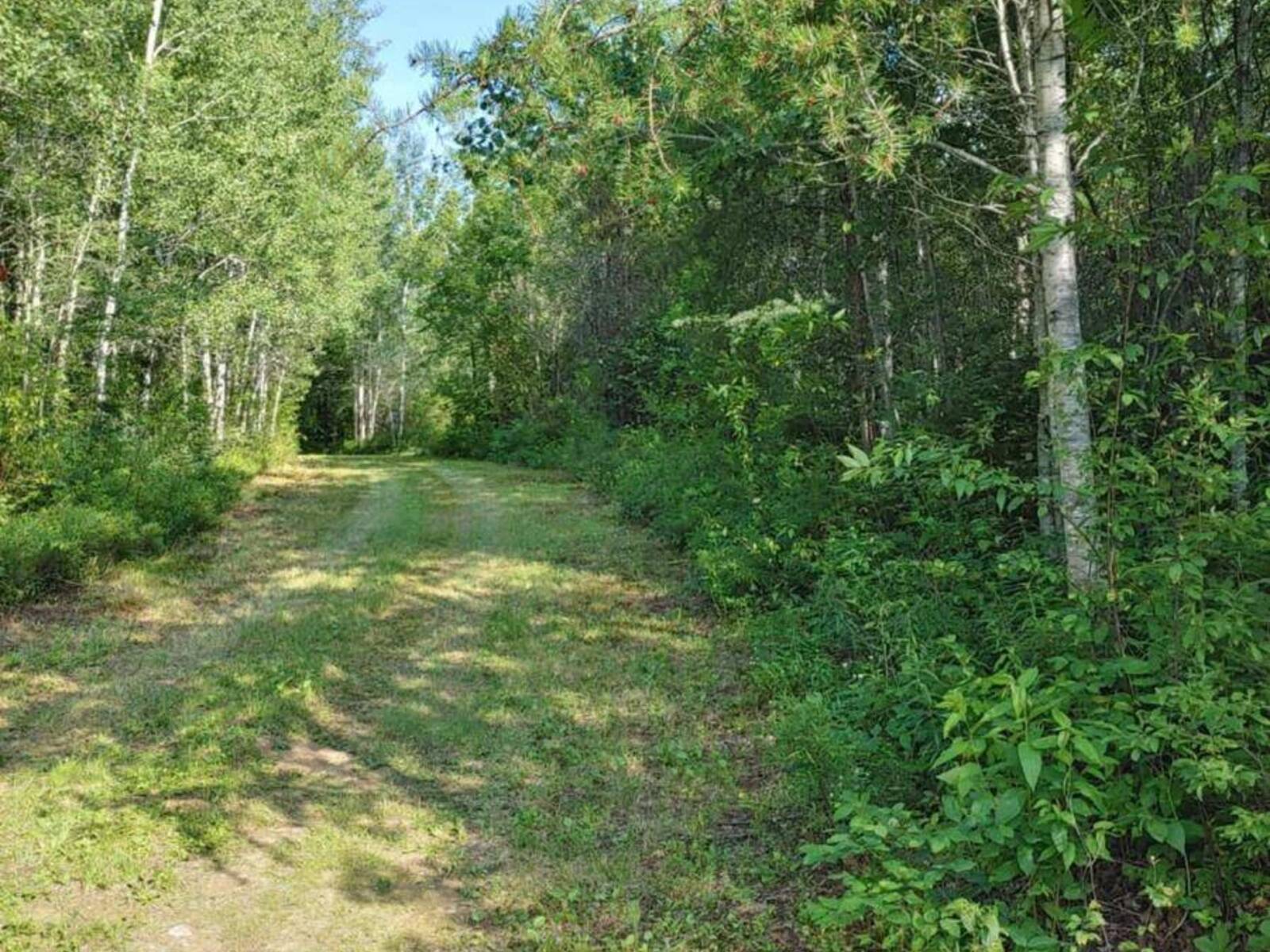 LOT 5 CON 1 ROAD, Timiskaming , Ontario P0J 1M0