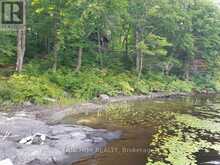 550 SHAWANAGA LAKE | McDougall Ontario | Slide Image Eighteen