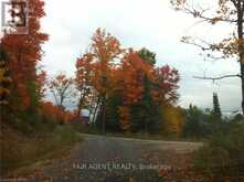 130B BARRETT ROAD | Parry Sound Ontario | Slide Image Twenty-four