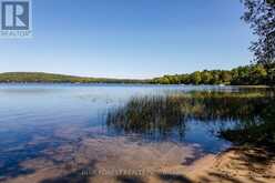 LOT 69 25TH LINE | Algonquin Highlands Ontario | Slide Image Fifteen