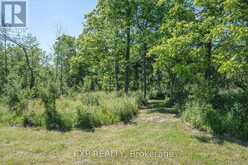 8402 HOMESTEAD, R.R. #3 ROAD | Dutton-Dunwich Ontario | Slide Image Twenty-nine