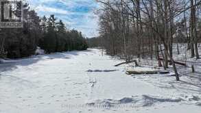 9919 PINERY LANE | Grand Bend Ontario | Slide Image Thirty-seven