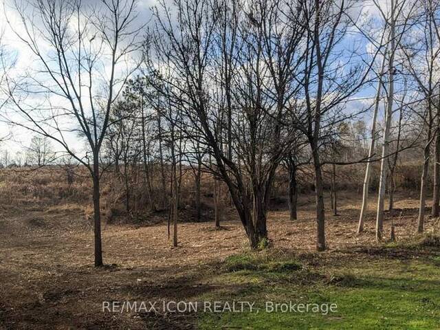 237 FREDERICK STREET W Newbury Ontario, N0L 1Z0 - Vacant Land For Sale