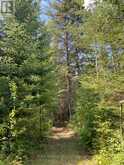 4650 HWY 11/17 | Thunder Bay Ontario | Slide Image Nineteen