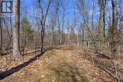 8816 TIMBERWOOD TRAIL | Grand Bend Ontario | Slide Image Forty-five