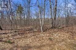 8816 TIMBERWOOD TRAIL | Grand Bend Ontario | Slide Image Forty-six
