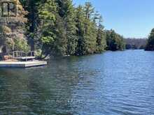 25 GOODS ISLAND | South Frontenac Ontario | Slide Image Thirty-one