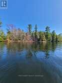 25 GOODS ISLAND | South Frontenac Ontario | Slide Image Thirty-two