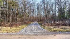 29709 CELTIC LINE S | Dutton-Dunwich Ontario | Slide Image Ten