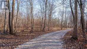29709 CELTIC LINE S | Dutton-Dunwich Ontario | Slide Image Thirteen