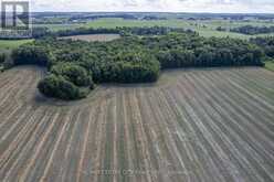 PT LTS 38 & 39 CONCESSION 9 ROAD | Cobden Ontario | Slide Image Twelve