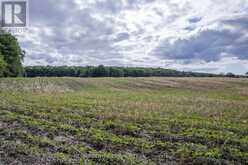 PT LTS 38 & 39 CONCESSION 9 ROAD | Cobden Ontario | Slide Image Twenty-eight