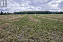 PT LTS 38 & 39 CONCESSION 9 ROAD | Cobden Ontario | Slide Image Thirty-three