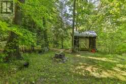 53860 JACKSON LINE | Straffordville Ontario | Slide Image Thirty-six