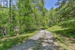 53860 JACKSON LINE | Straffordville Ontario | Slide Image Forty-one