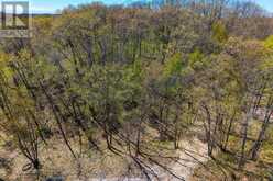10096 PINERY BLUFFS RD, LOT 3 ROAD | Grand Bend Ontario | Slide Image Two