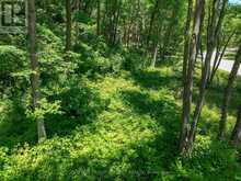 10096 PINERY BLUFFS RD, LOT 3 ROAD | Grand Bend Ontario | Slide Image Eight