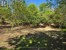 40 NORTH STREET | Bayham Ontario | Slide Image One